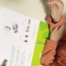 왈강달강 선사시대 책놀이 이미지