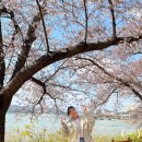 신평동1093 | [경주여행] 벚꽃 보러 1박 2일 경주 간 후기 (4/1 ~ 4/2) part.3 / 여미온 황룡사지9층목탑 보문정 경주...