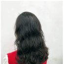 대평차유리 | 새봄헤어 대평점, 코딩보다 어려운 미용실 정착! 나만의 세종미용실 찾기 성공