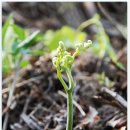 축령산 히든벨리 이미지