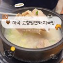 고향돼지국밥 | 마곡역 직장인 점심 맛집, 국밥•밀면 다 맛있는 고향밀면돼지국밥