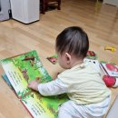 돌아기 전집 추천 :: 허니북 1탄 구매 후기✏
