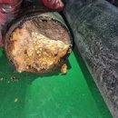 백마로502번길 이미지