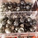 제주그랜드보청기 이미지