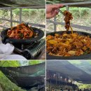 금화애견 이미지