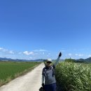 남파랑길 61-1코스(2025.6.29) 이미지