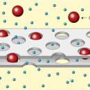 안성맞춤 실내체육관 이미지