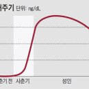 운동선수에겐 재앙, 老人에겐 축복… 두 얼굴의 테스토스테론(남성호르몬) 이미지