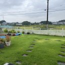 도그노크 이미지