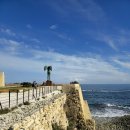 이카로스 이미지