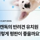 아이캔독 네이버블로그