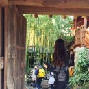 (주)커피캐슬 이미지