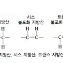 구조관계 이미지