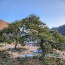 구암동387 이미지