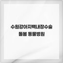 녹양돌봄동물병원 | 수원강아지백내장수술 돌봄 동물병원