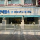 강아지 이발소 이미지