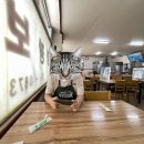 서부공원녹지사업소 화장실 이미지