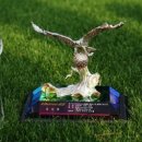 피플스토리 이미지