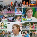 뽕따러가세