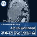 오렌지동물병원 | 강아지 간 종양, 간엽절제술 : 대구 수술 전문 동물병원/대구24시동물병원/달서구24시동물병원