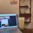 오금역 5번출구 | [ 서울 | 가락동 ] 오금역 근처 아늑하고 조용한 카페 '알로커피'