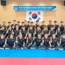 한국체대 비전태권도 이미지