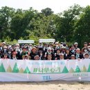 일렉트론 이미지