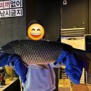 놀이터 실내낚시카페 이미지