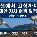 부산에서 고성까지 동해안 자차 여행 일정 ③ (울진~고성)