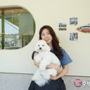 메모르드몽 이미지