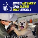 신남케어 이미지