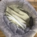 디엔씨펫 이미지