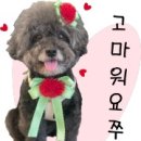 그라시아스꽃집 이미지