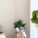 키더한성장부평중앙의원 이미지