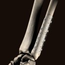 정형메디텍 이미지