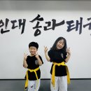 용인대학교 스타태권도장 이미지