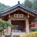 남노일로 이미지