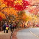강산조경