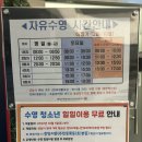 분당정자청소년수련관 | 분당야탑청소년수련관 평일 저녁 자유수영 후기