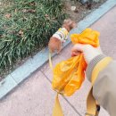 어반워키스 강아지 배변봉투 사용후기