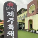 [공지] 제주 산방산흑돼지맛집 블랙피그 서귀포맛집