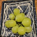 문덕 스모프 이미지