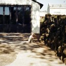 동광리-14 이미지