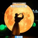 천안아산역 공동관광홍보관 | 천안 독립기념관 단풍 나무숲길 야간개장 별빛한바퀴 천안시티투어 예약