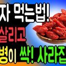 구기자 먹는법!간을 살리고 당뇨병이 싹!사라집니다 이미지