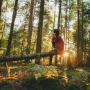 오이도선사유적공원 이미지