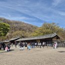 한국민속촌 | 한국민속촌 후기, 다음엔 야간개장 꼭 가보고 싶은 18개월 아기랑 주말 나들이!!