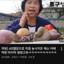 김연자 콘서트 | 영탁 단독콘서트 'TAK SHOW4' 앙코르 셋리스트(2026.1.9)