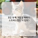 연세란치과의원 이미지