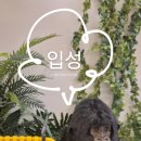 강원오식당 이미지